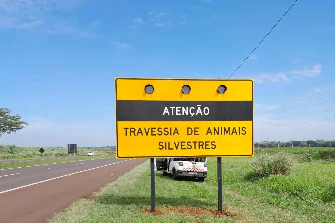Sedest alerta motoristas do Paraná para risco à fauna no feriado