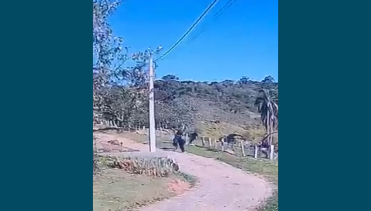 Segundo suspeito de invasão a condomínio em Campinas é preso