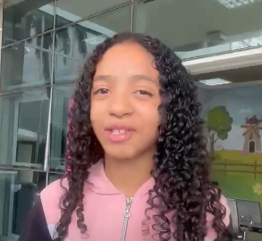 Menina que foi atacada por abelhas recebe alta do hospital