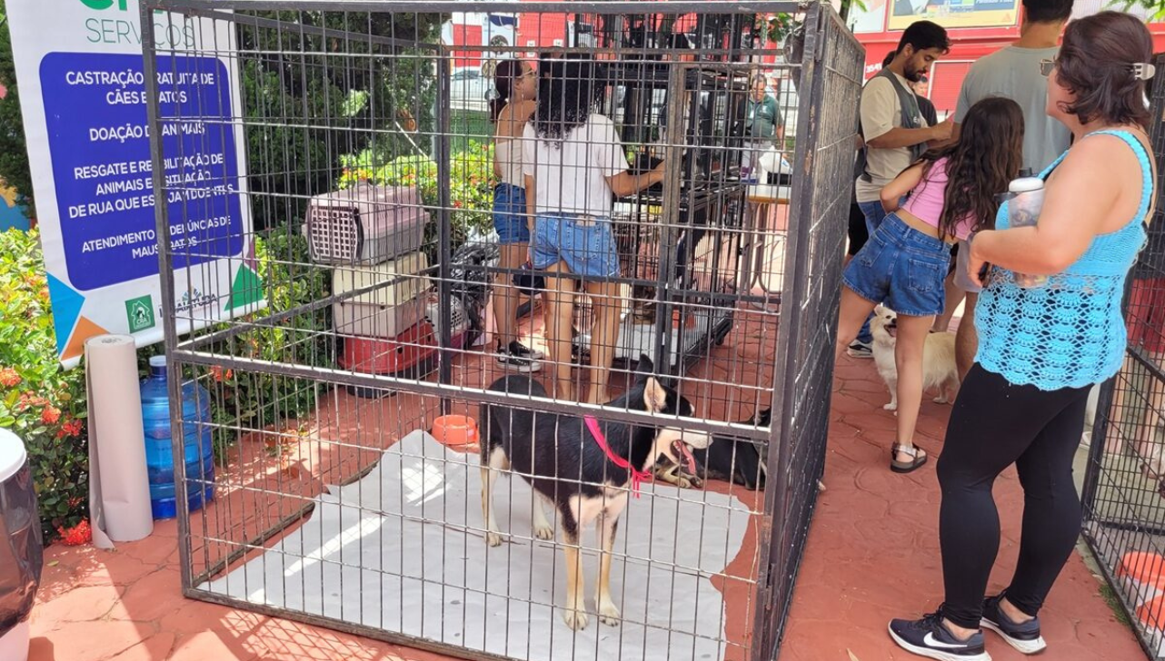 Indaiatuba realiza adoção de animais e arrecadação de rações neste sábado