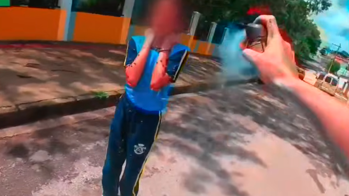 Homem que salvou menina de ataque de abelhas ganha moto e carro