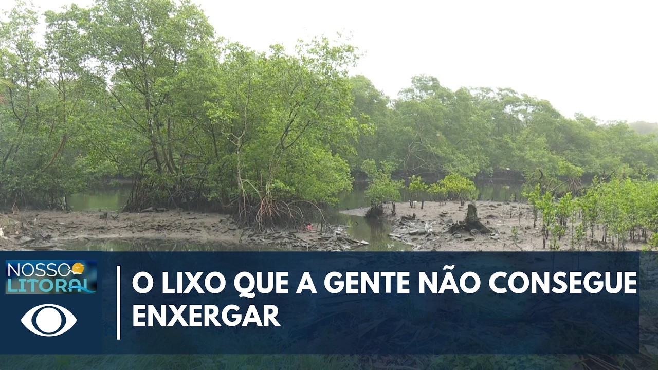 Nosso Litoral mostra mutirão que combate o lixo e revela impactos da poluição no litoral do Paraná