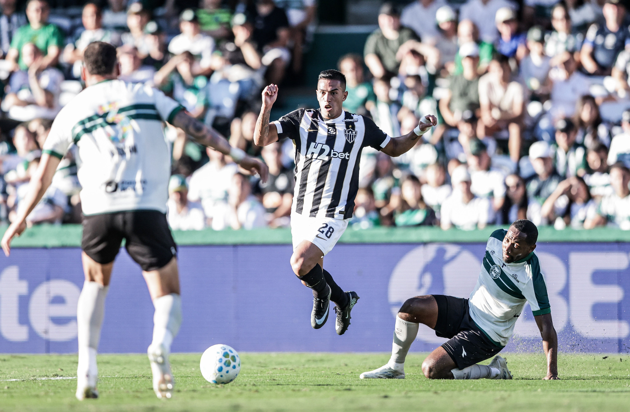 Atlético-MG x Coritiba: escalações definidas para duelo pelo Brasileirão