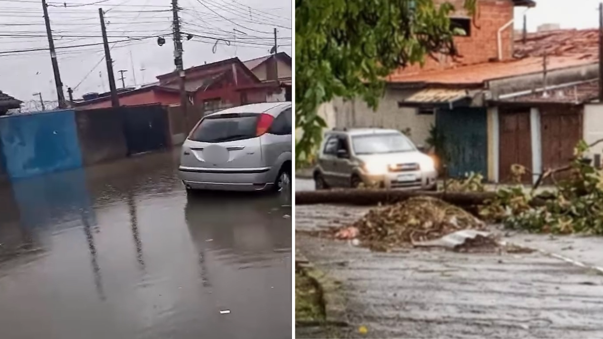 Fortes chuvas causam alagamentos e oito quedas de árvores em Taubaté