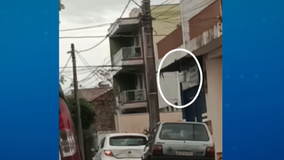 "Teleférico do crime" é desmontado pela Polícia Civil no interior de SP