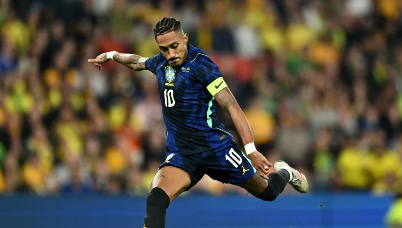 O Leão na Catalunha que performa como gatinho pelo Brasil