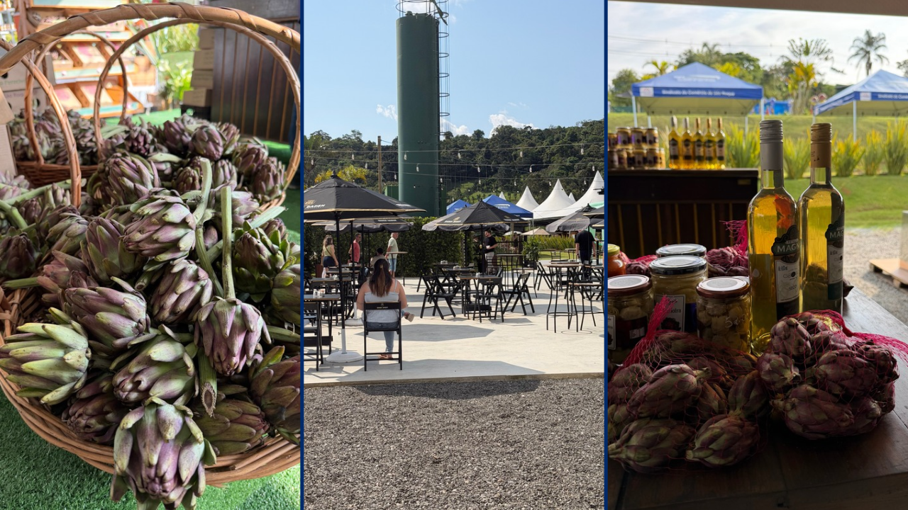 Festival da Alcachofra, Vinho e Mel reúne mais de 5 mil pessoas em São Roque