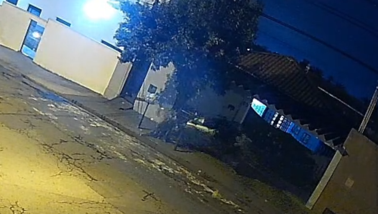 VÍDEO: motorista sem CNH bate em árvore e tenta fugir em Limeira